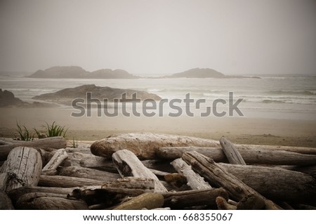Islands dot the horizon on a driftwood-lined beach on a misty morning near Tofino, British Columbia