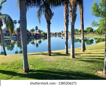 The Islands In Gilbert, Arizona