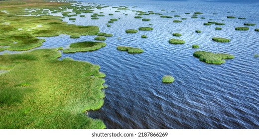 Islands Of Reeds And Blue Water On The Marshy Sea Shore. Aerial Panoramic Scenic High Angle View