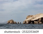 Islas de Ballestas, Paracas, Peru