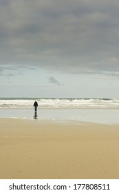 Islay Beach/A Walk To The Ocean/Islay Beach Walks