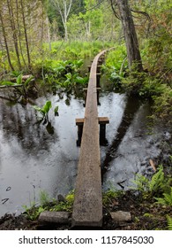 Isle Royale National Park