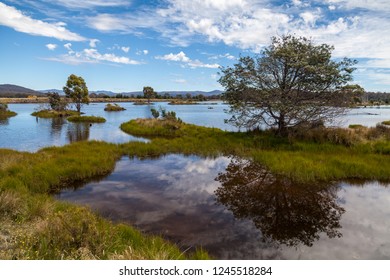 brady lake