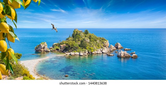 Isola Bella is small island near Taormina, Sicily, Italy. Narrow path connects island to mainland Taormina beach in azure waters of Ionian Sea. Bunches of fresh yellow ripe lemons on foreground.