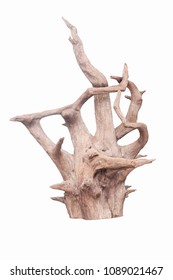Isolate of beautiful timber use for decorating in the aquarium on white background with clipping path.