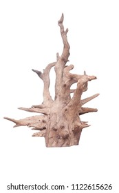 Isolate of beautiful timber use for decorating in the aquarium on white background with clipping path.