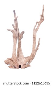 Isolate of beautiful timber use for decorating in the aquarium on white background with clipping path.