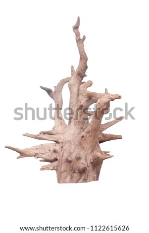 Isolate of beautiful timber use for decorating in the aquarium on white background with clipping path.