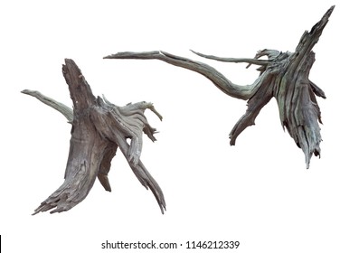 Isolate of beautiful two timber use for decorating in the aquarium on white background with clipping path.