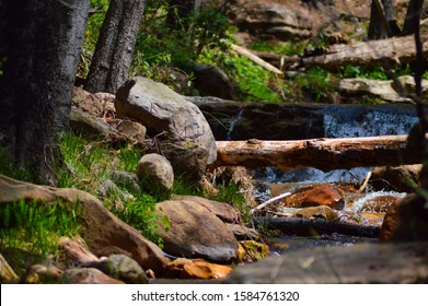 Isolate And Serene Babbling Brook