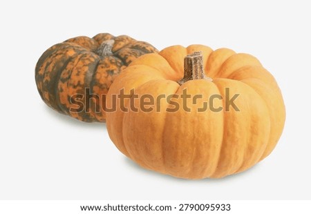 Isolate two fresh raw pumpkins on a seamless white background, featuring one solid orange squash and one with mottled green stripes. This versatile organic vegetable image highlights healthy farm produce, perfectly capturing the rustic and vibrant mood of the autumn season. It is an ideal visual asset for a wide range of commercial uses, including Thanksgiving harvest restaurant menus, vegetarian diet blog articles, agricultural advertising, and extensive seasonal fall marketing campaigns.
