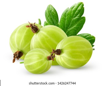 Isolatec gooseberries. Bunch of green gooseberries isolated on white background with clipping path