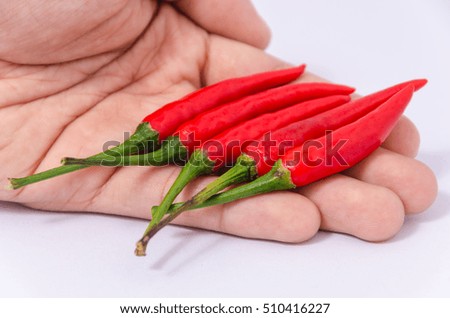 Isolated of 5 red fresh chill in open human hand on white background