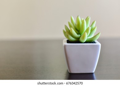 Isolated Artificial Potted Plant On Wooden Table