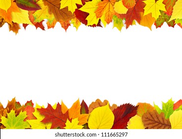 36,574 Oak Leaf Border Images, Stock Photos & Vectors | Shutterstock