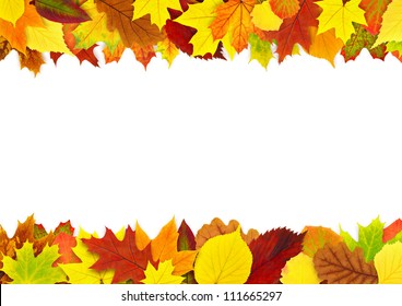 36,574 Oak Leaf Border Images, Stock Photos & Vectors 