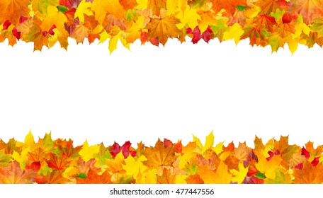 822,747 Fall leaf on white background Images, Stock Photos & Vectors ...