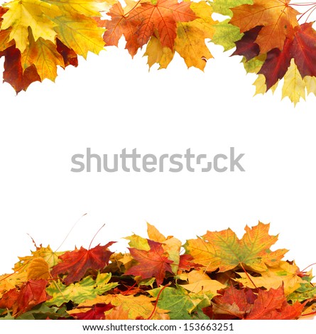 Isolated Autumn Leaves 