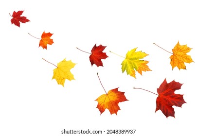 An isolated autumn leaves decoration - Shutterstock ID 2048389937