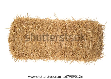 isolated bale of hay on white