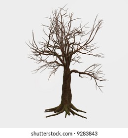 3d Tree Isolated Stock Illustrations, Images & Vectors | Shutterstock