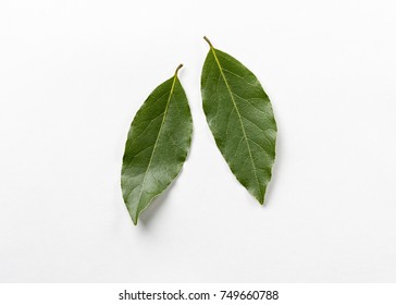 Isolated Bay Leaf. Laurel  Leaves On A White Background. Bayleaf. Laurel Lea.