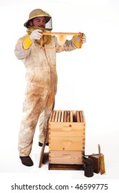 An Isolated Beekeeper Holding Up A Frame With New Honeycomb On It