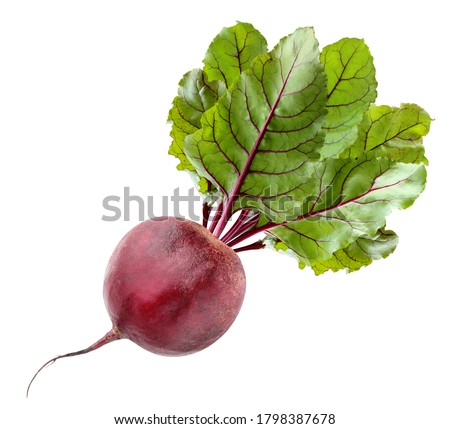 isolated beets. one beetroot with tops isolated on white background with clipping path. vegetable, root vegetable.