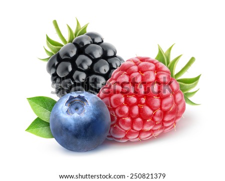 isolated berries. Blueberry, raspberry and blackberry over white background, with clipping path