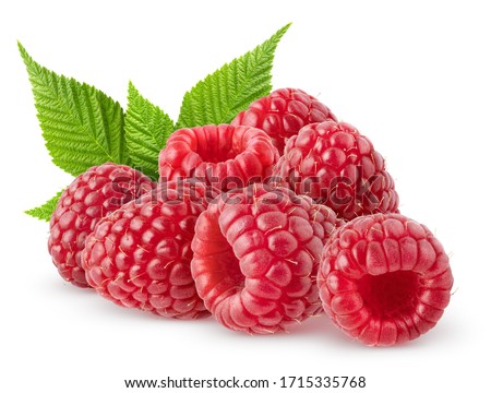 Isolated berries. Bunch of raspberry fruits with leaves isolated on white background, with clipping path