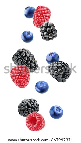 Isolated berries. Falling blackberry, raspberry and blueberry fruits isolated on white background with clipping path