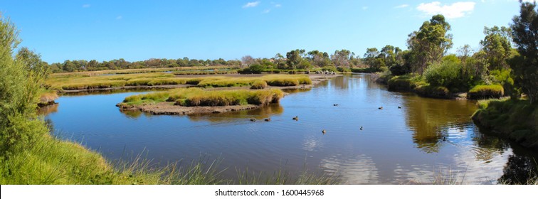 Panorama Big Swamp Wetlands Bunbury Western Stock Photo 157925255 ...