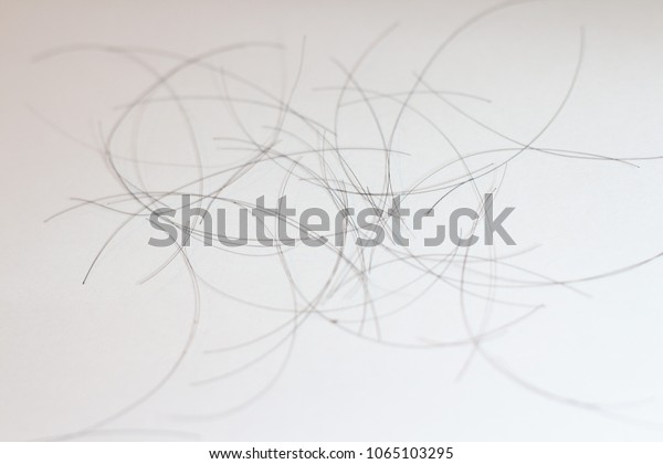 Isolated Black Dark Brown Short Hairs Stock Photo Edit Now