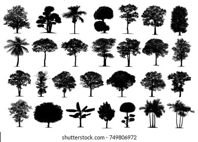 Black Tree Silhouettes On White Background Stock Vector (Royalty Free ...