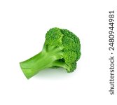 Isolated Broccoli. Fresh Broccoli isolated on white background. Top view. Flat lay
