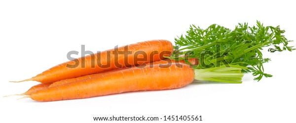 Isolated Carrots Heap Fresh Carrots Stems Stock Photo 1451405561