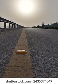 Isolated cateye on the road with bright sun in front