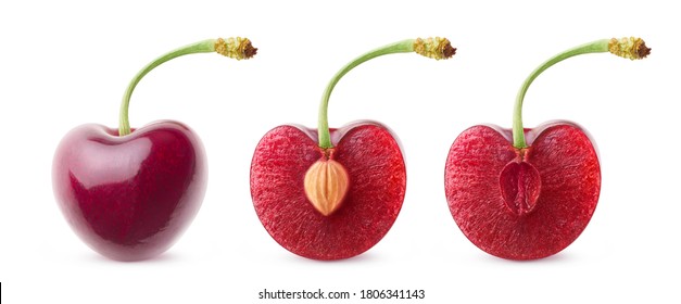 Isolated cherries in a row. Whole sweet cherry and cherry halves with and without pit isolated on white background