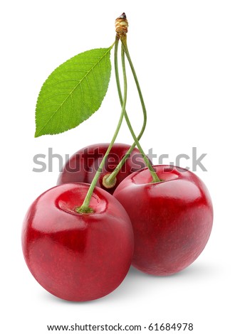 Isolated cherries. Three sweet cherry fruits isolated on white background