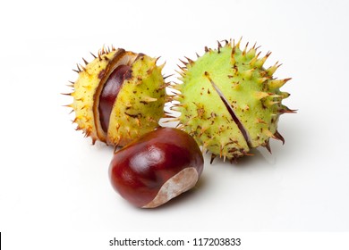 Chestnut-horse Images, Stock Photos & Vectors | Shutterstock