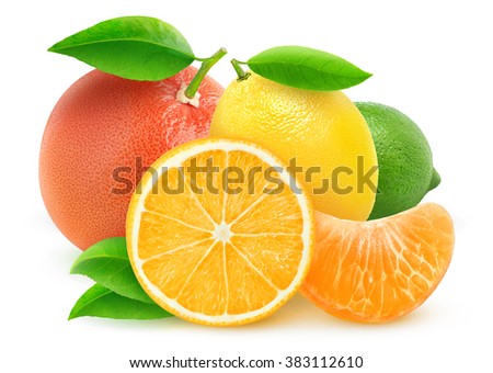 Isolated citrus fruits. Cut orange, lemon, grapefruit and lime isolated on white background with clipping path
