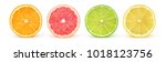 Isolated citrus slices. Fresh fruits cut in half (orange, pink grapefruit, lime, lemon) in a row isolated on white background with clipping path