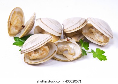 isolated clams