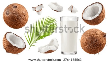 Isolated coconut set. Collection of coconuts, halves and slices, a glass of milk, and a palm leaf on a white background.