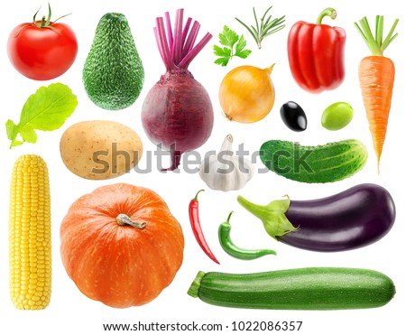 Isolated collection of 20 vegetables and herbs. Tomato, potato, beet, onion, peppers, cucumber, carrot, corn, pumpkin, eggplant, zucchini, lettuce, etc isolated on white background with clipping path