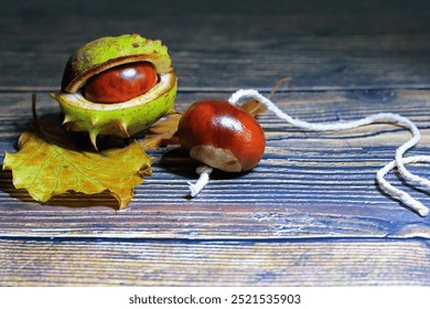 An Isolated Conker With String Through The Middle. Conkers Is A Popular Game Played By Children In The Autumn.