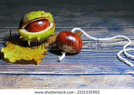 An Isolated Conker With String Through The Middle. Conkers Is A Popular Game Played By Children In The Autumn.