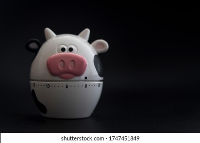 Isolated cooking timer tool with shape of a black and white cow over a black background