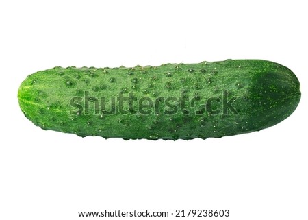 Isolated cucumber. Fresh organic cucumber isolated on white background. Cucumber macro studio photo. File contains clipping path.