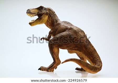  Isolated dinosaur on white background
